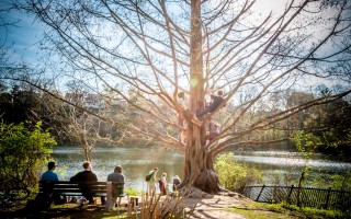 Friendship Tree