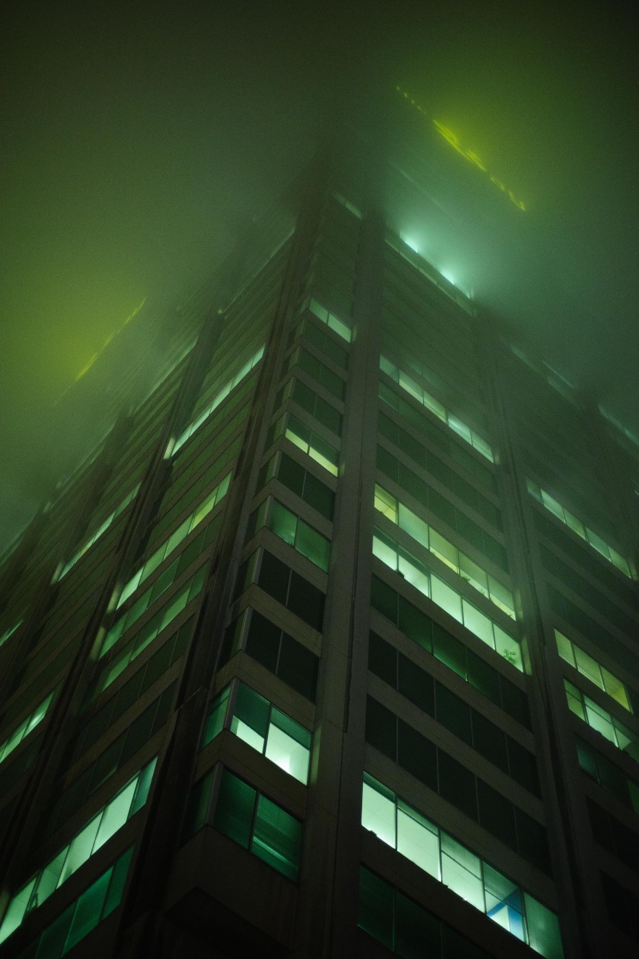 Green & Fog